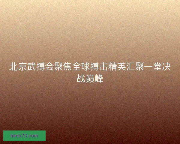 北京武搏会聚焦全球搏击精英汇聚一堂决战巅峰